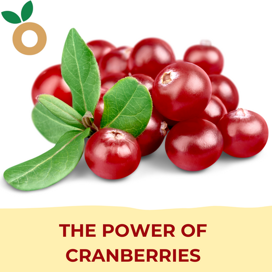The Power of Cranberries: Unveiling Their Benefits to Human Health
