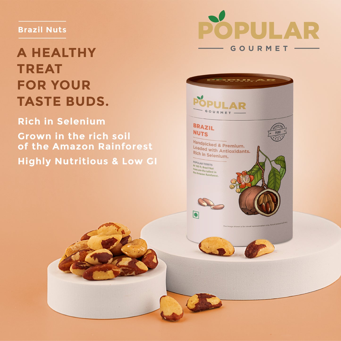 Exotic Brazil Nuts