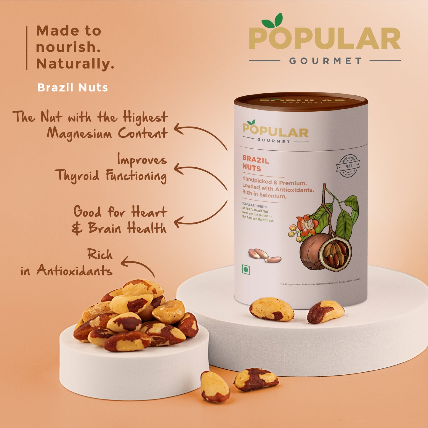 Exotic Brazil Nuts