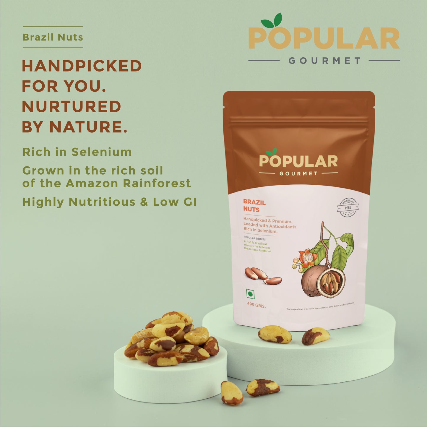 Exotic Brazil Nuts
