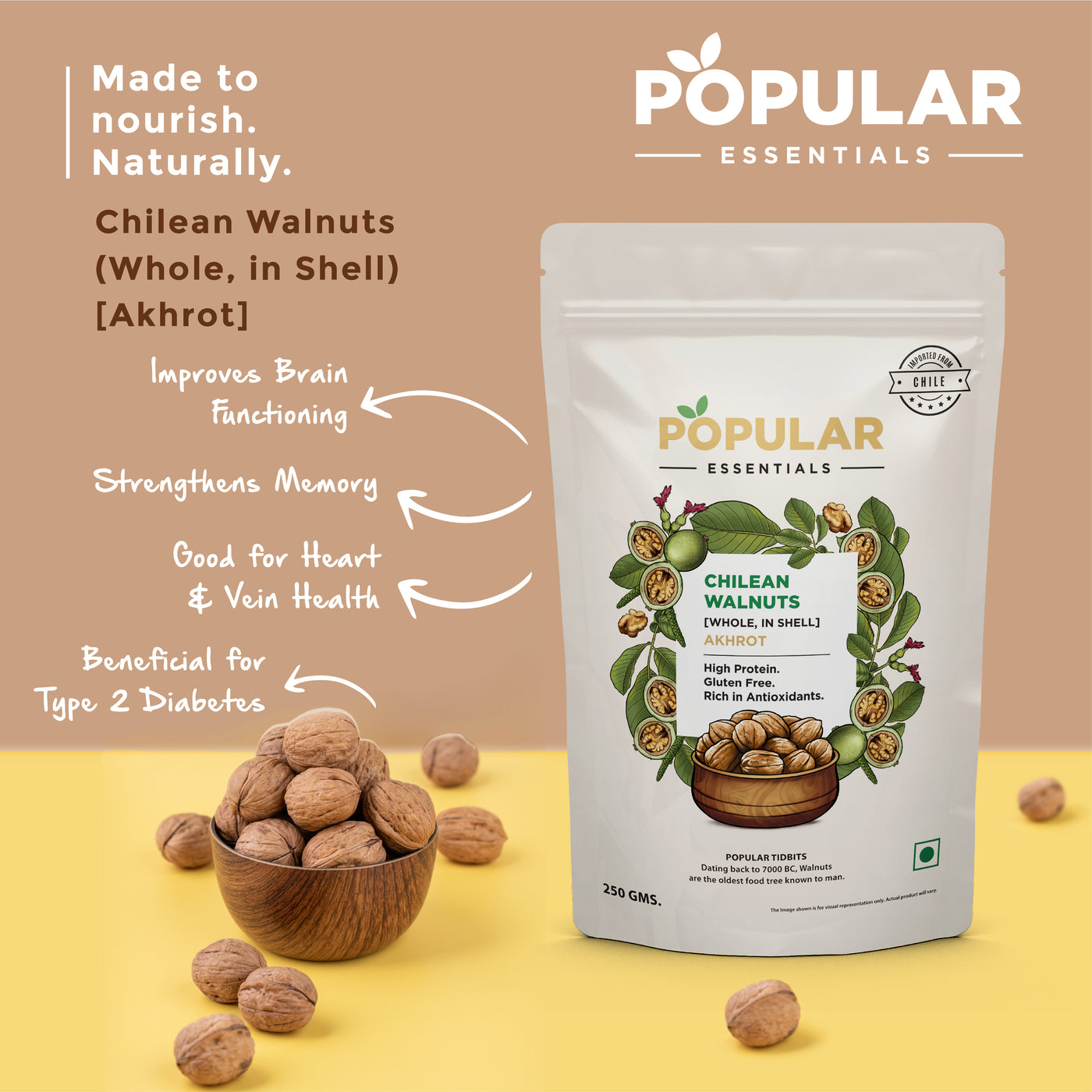Essentials Chillean Walnut In-Shell