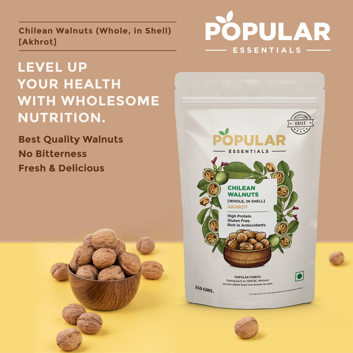 Essentials Chillean Walnut In-Shell